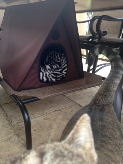 3ae5649c1dec432456157eb28252bd71