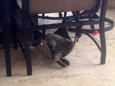 524c4774de87d36d075725534ad4da8b