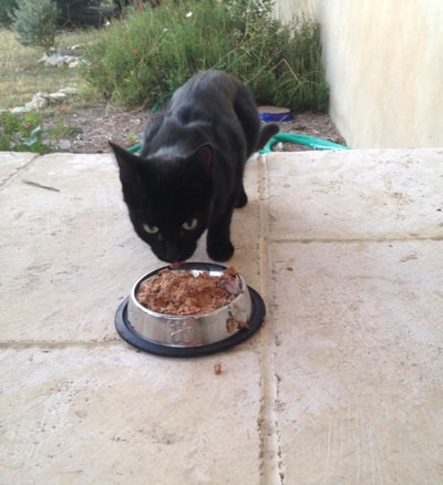 846ca370fc860530c07f9060d35d6170