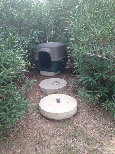 b019e6961374bb74592a40c242e2702c