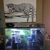 c479236a3127db5913399d54e1dad550_orig