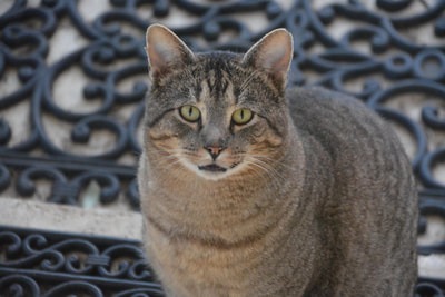 eaacd954710b3fed5ef086d56fda28d5